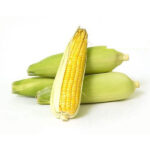 Sweet Corn – Mokkajonna Pothulu 1 pc