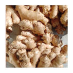 Ginger Free home delivery Hyderabad